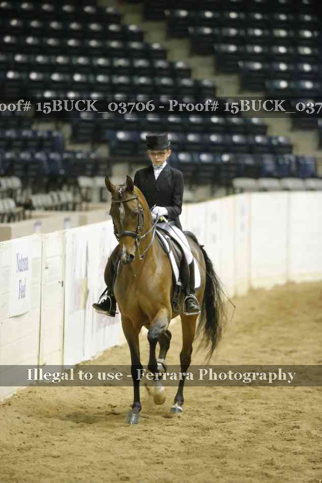 Proof 15BUCK_03706