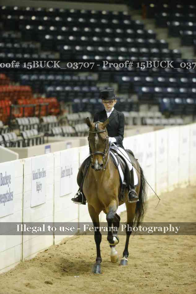 Proof 15BUCK_03707