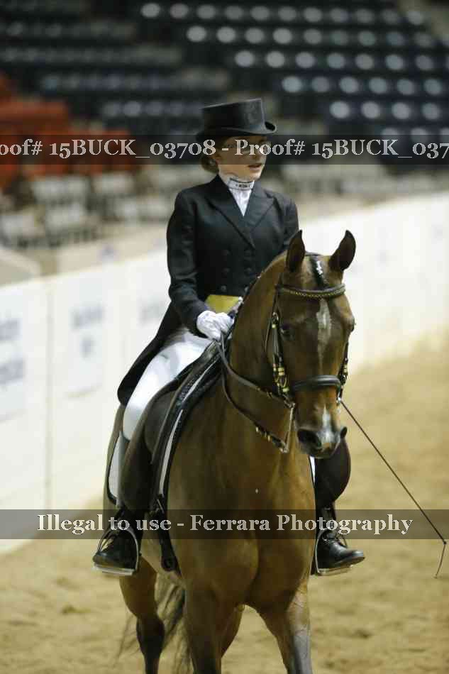 Proof 15BUCK_03708