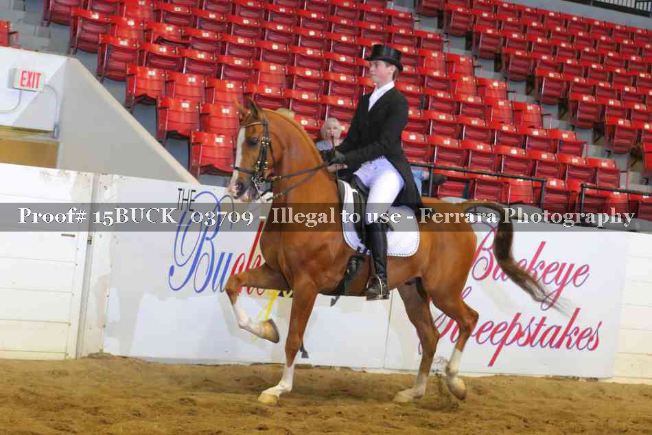 Proof 15BUCK_03709
