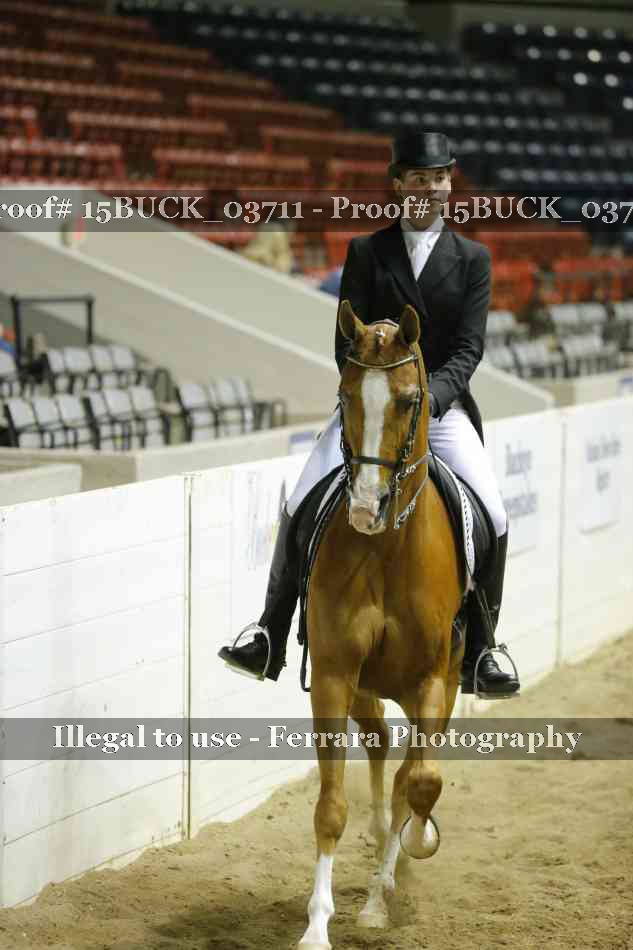 Proof 15BUCK_03711