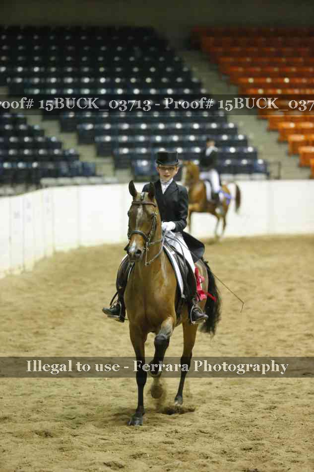 Proof 15BUCK_03713