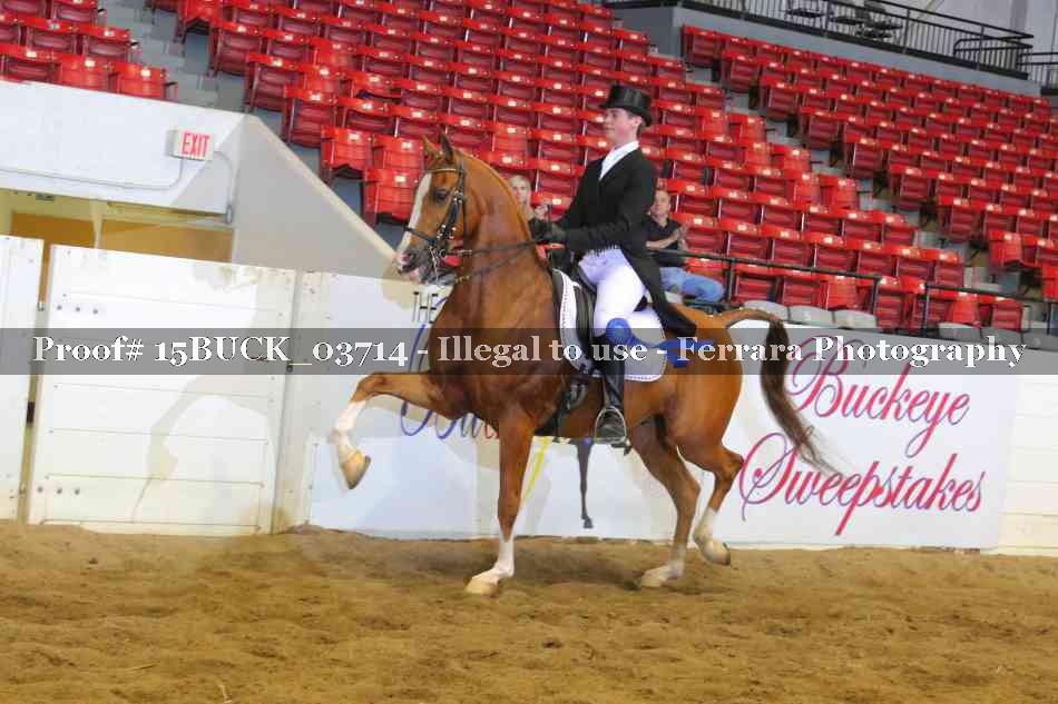 Proof 15BUCK_03714