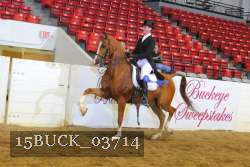 15BUCK_03714 proof