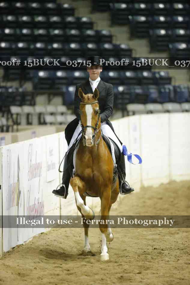 Proof 15BUCK_03715
