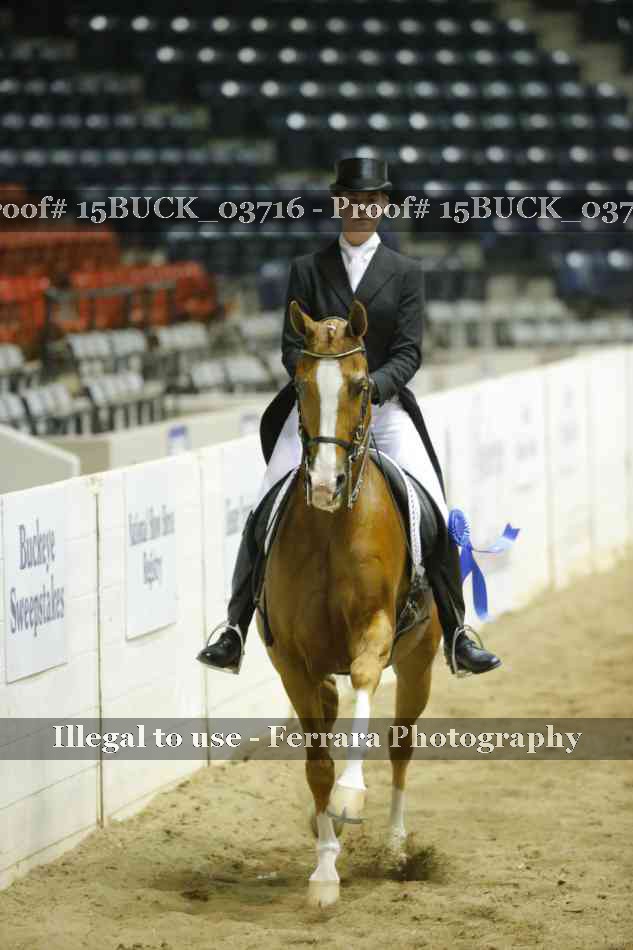 Proof 15BUCK_03716