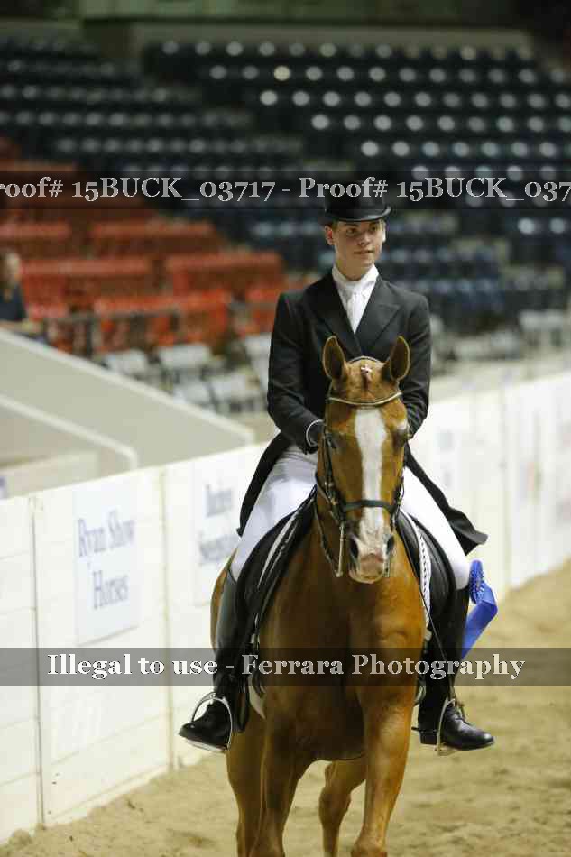 Proof 15BUCK_03717