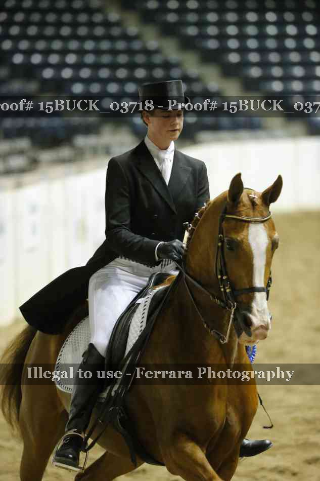 Proof 15BUCK_03718