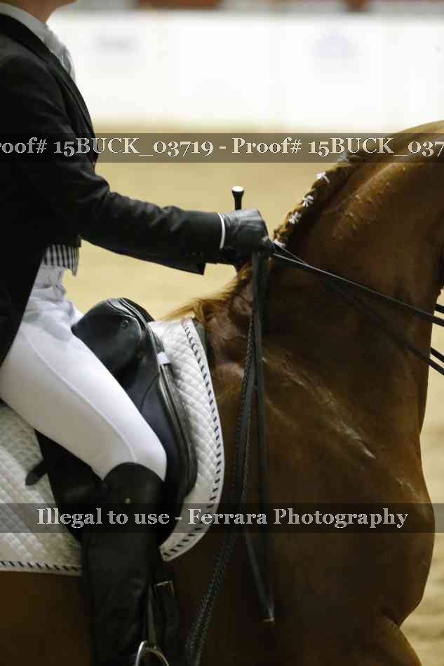 Proof 15BUCK_03719