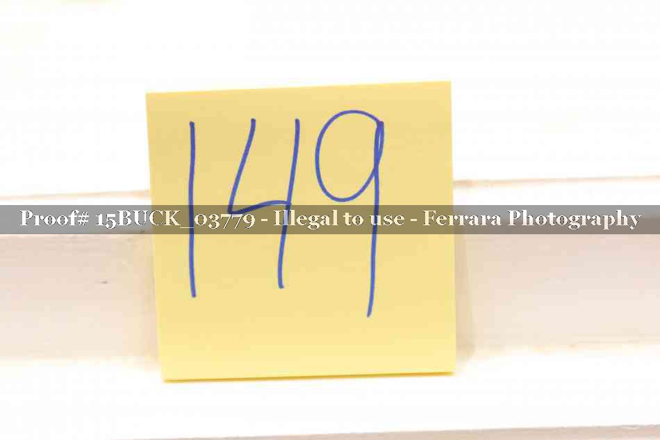 Proof 15BUCK_03779