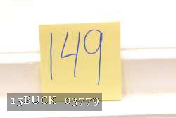 15BUCK_03779 proof