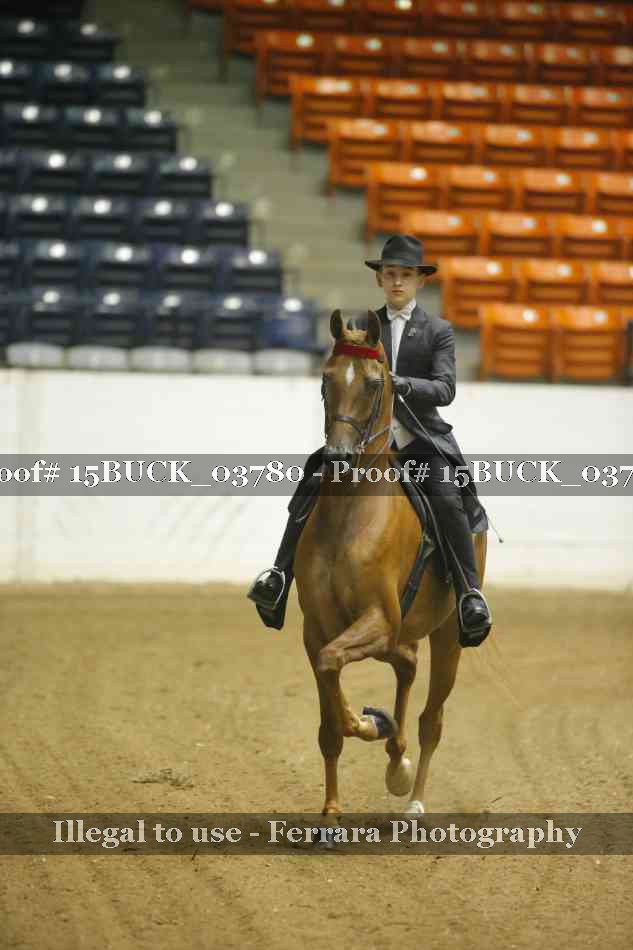Proof 15BUCK_03780