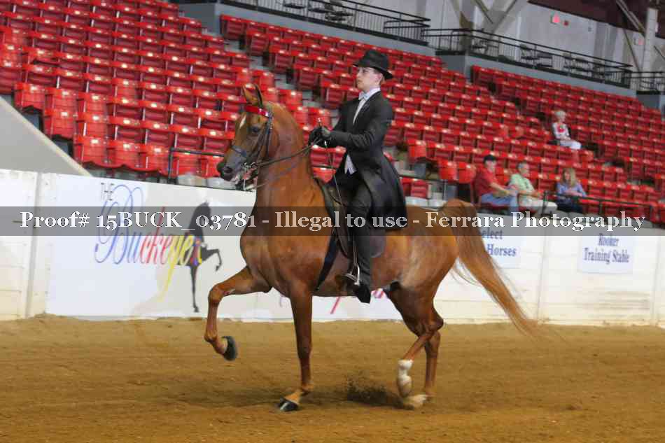 Proof 15BUCK_03781