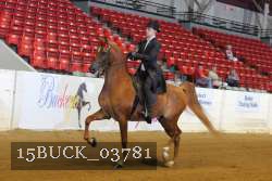 15BUCK_03781 proof