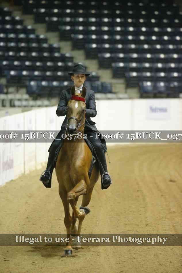 Proof 15BUCK_03782