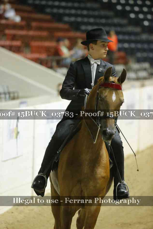 Proof 15BUCK_03783