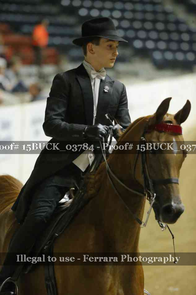 Proof 15BUCK_03784