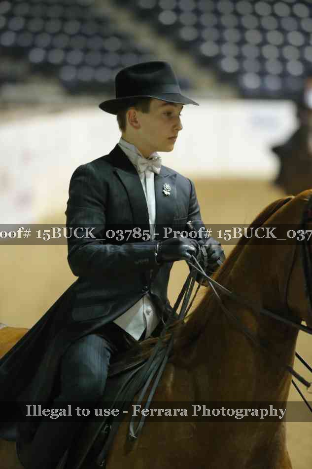 Proof 15BUCK_03785