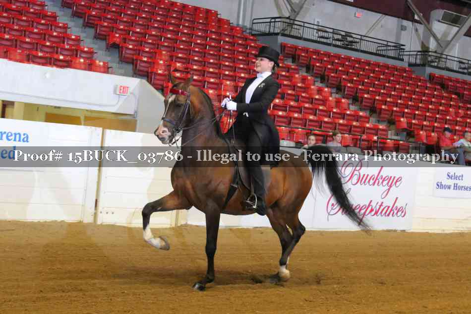 Proof 15BUCK_03786