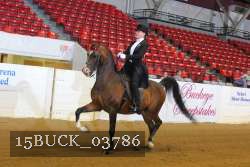 15BUCK_03786 proof