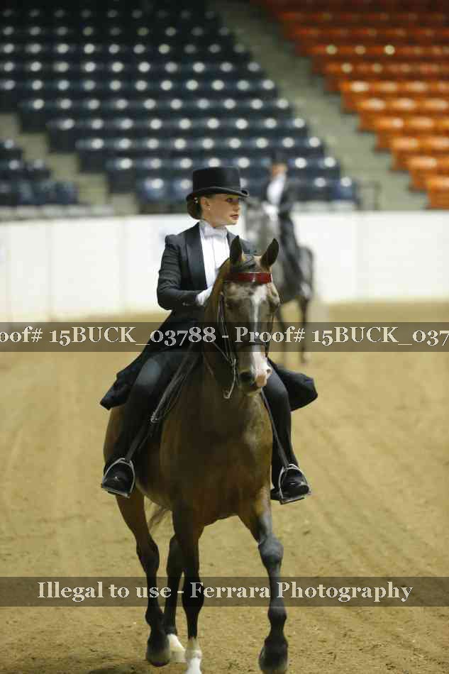 Proof 15BUCK_03788