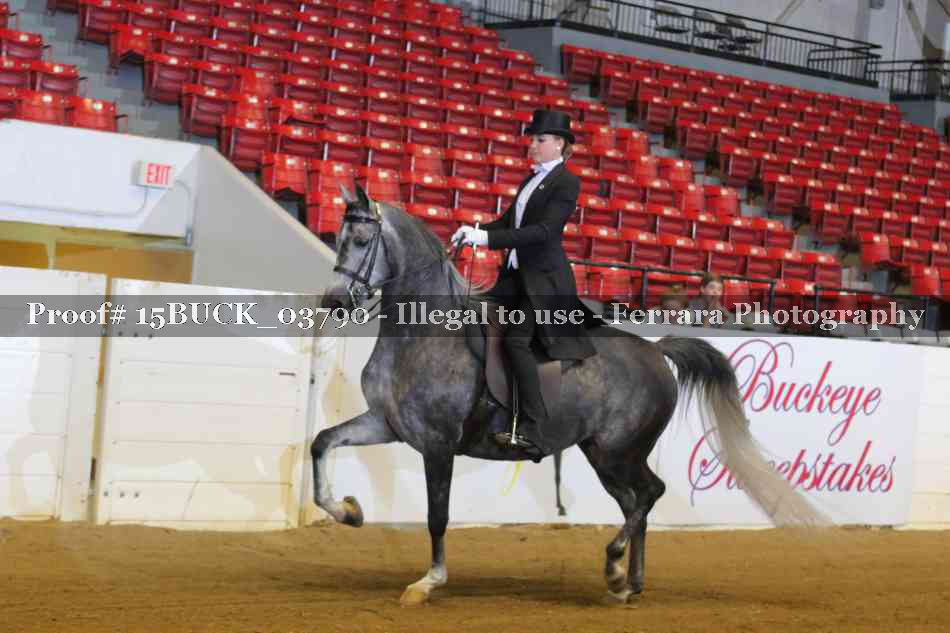 Proof 15BUCK_03790