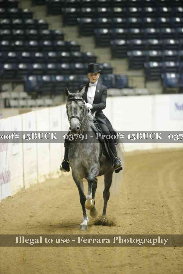 Proof 15BUCK_03791