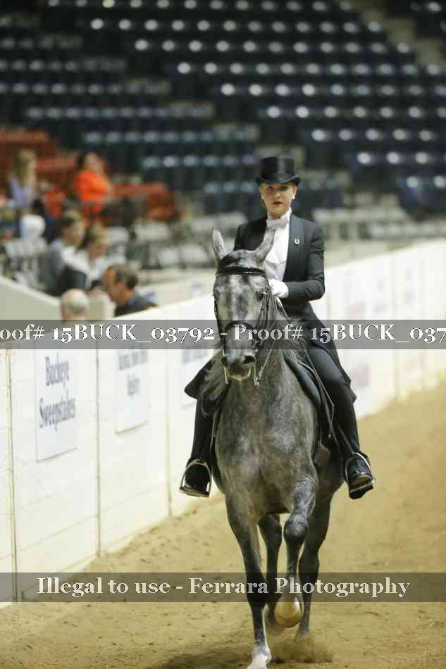 Proof 15BUCK_03792