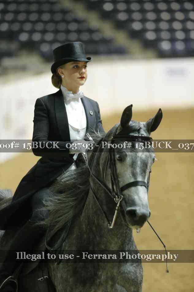 Proof 15BUCK_03793