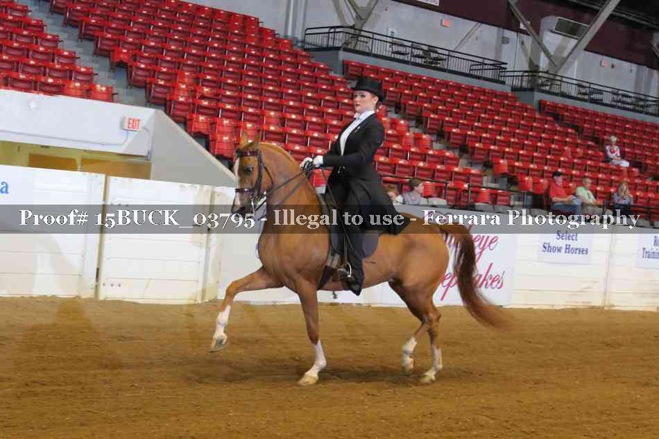 Proof 15BUCK_03795