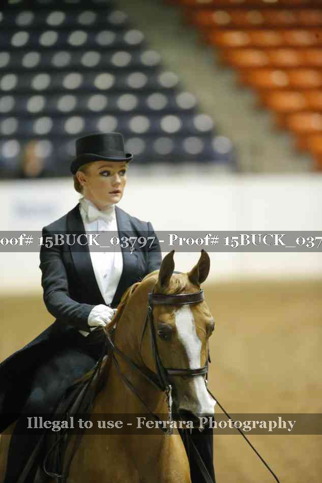 Proof 15BUCK_03797