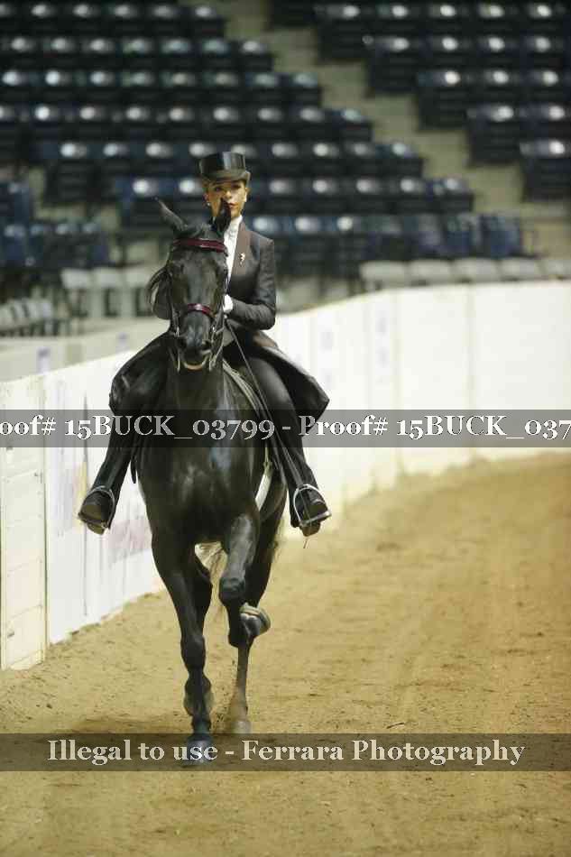 Proof 15BUCK_03799