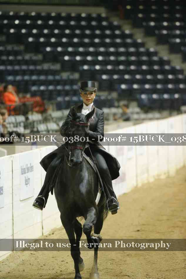Proof 15BUCK_03801