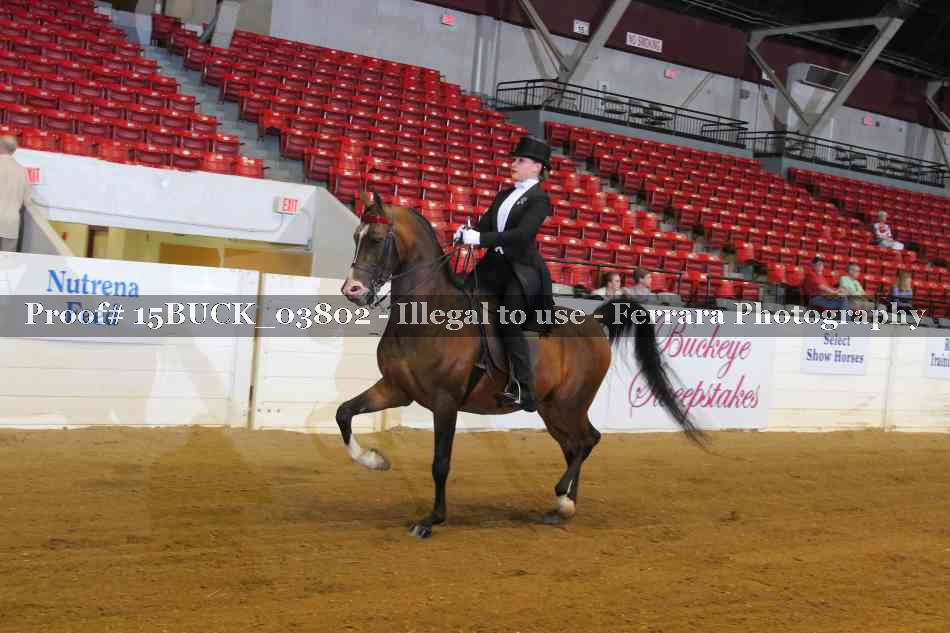 Proof 15BUCK_03802
