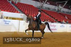 15BUCK_03802 proof