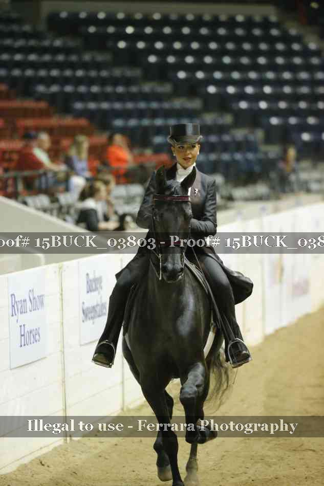 Proof 15BUCK_03803