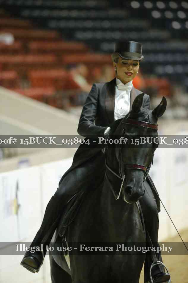 Proof 15BUCK_03804
