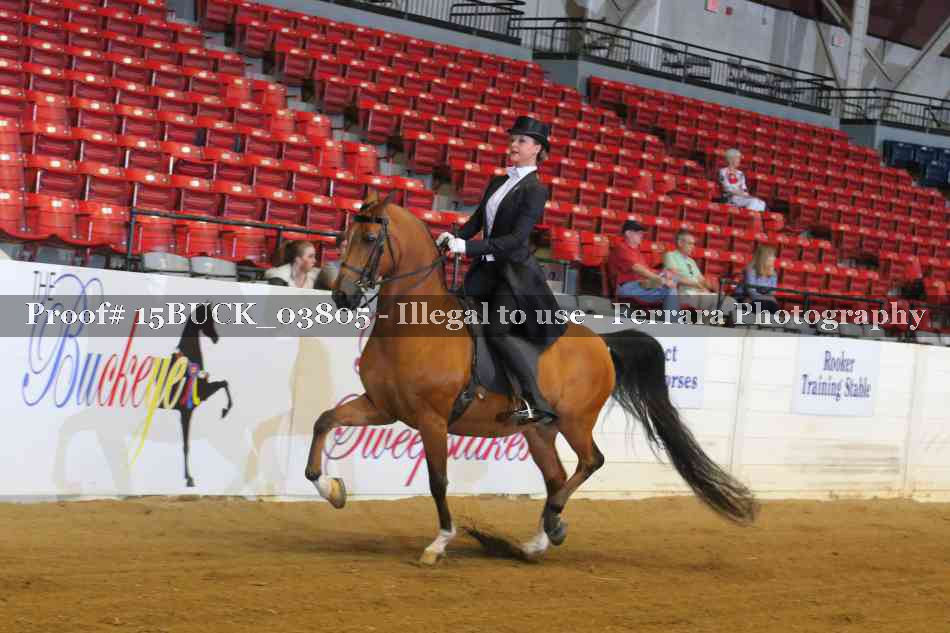 Proof 15BUCK_03805