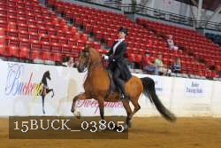 15BUCK_03805 proof