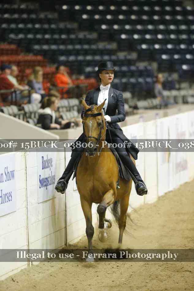 Proof 15BUCK_03806