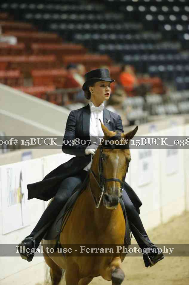 Proof 15BUCK_03807