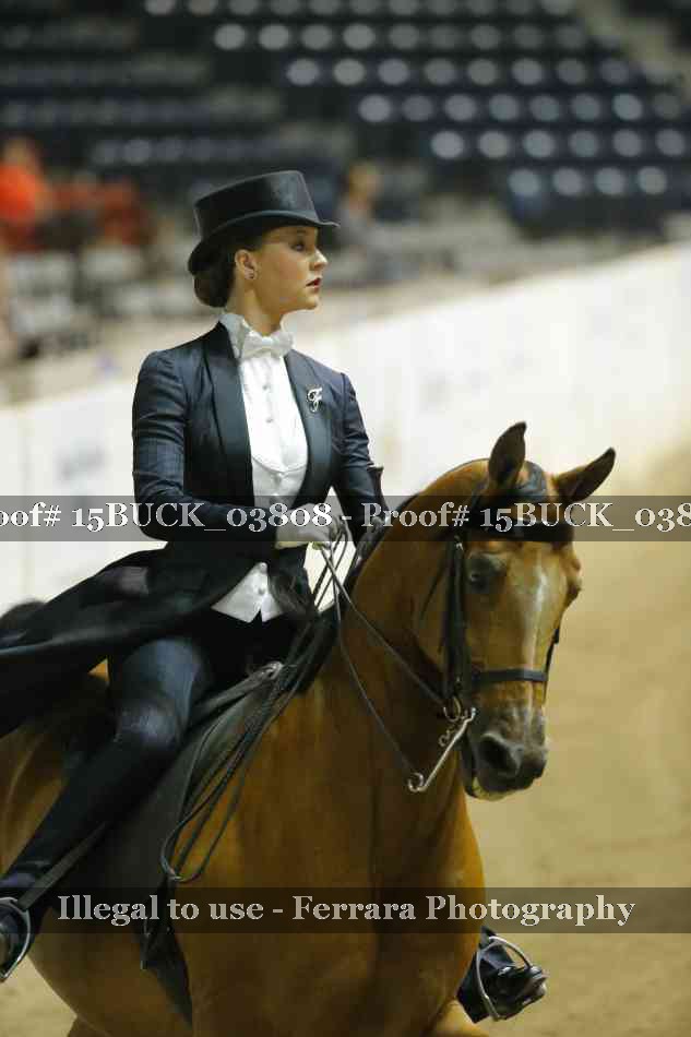 Proof 15BUCK_03808