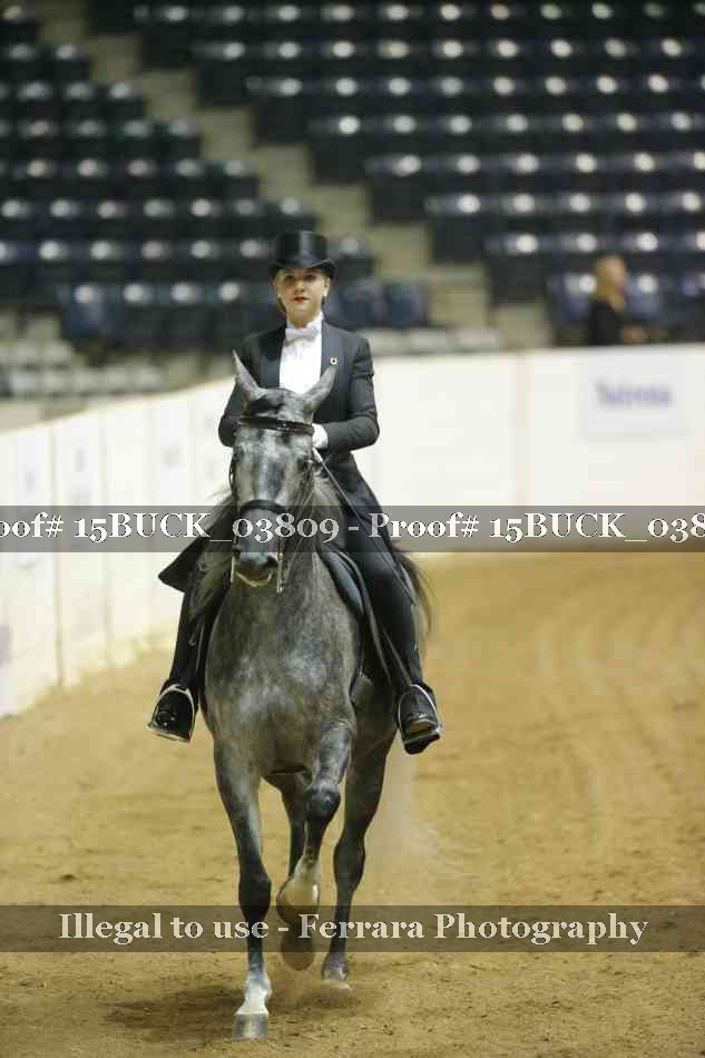 Proof 15BUCK_03809