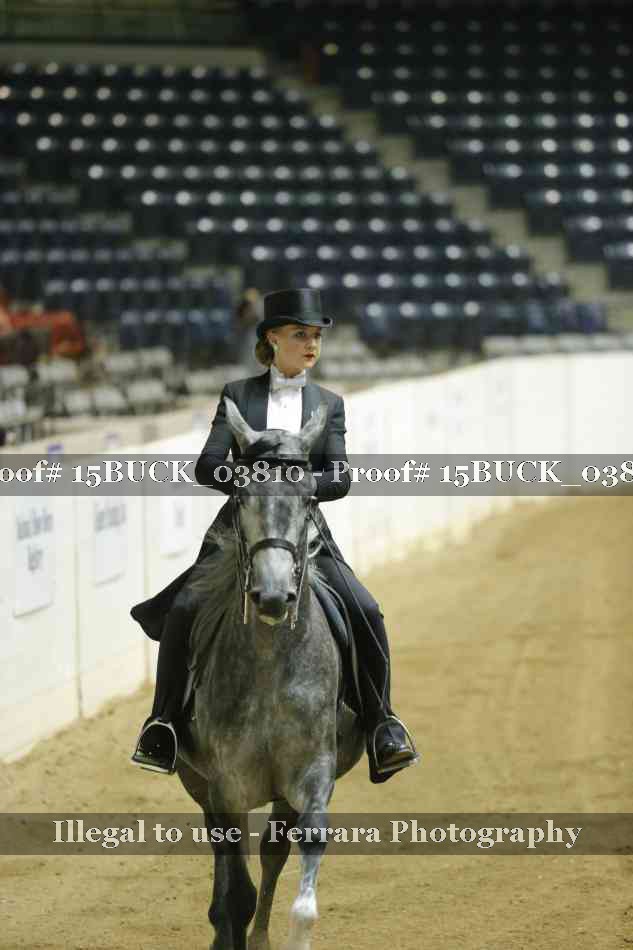 Proof 15BUCK_03810