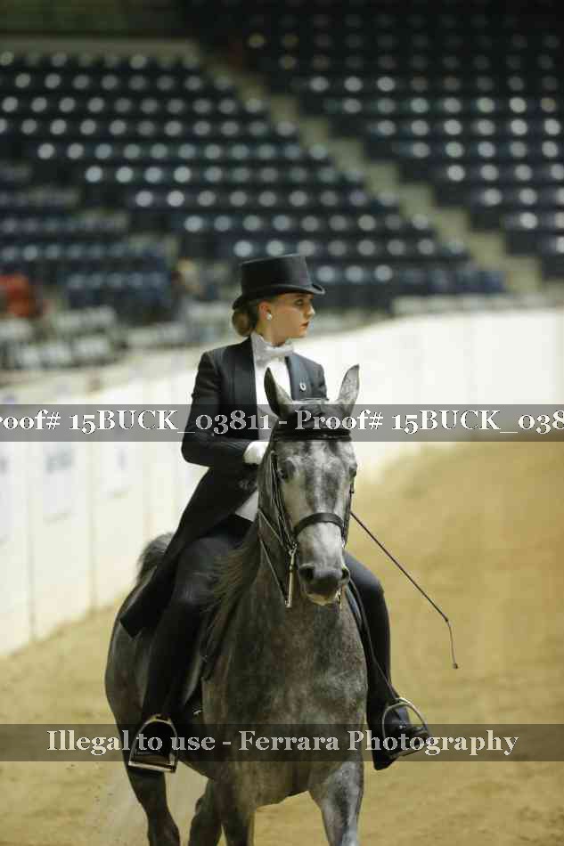 Proof 15BUCK_03811