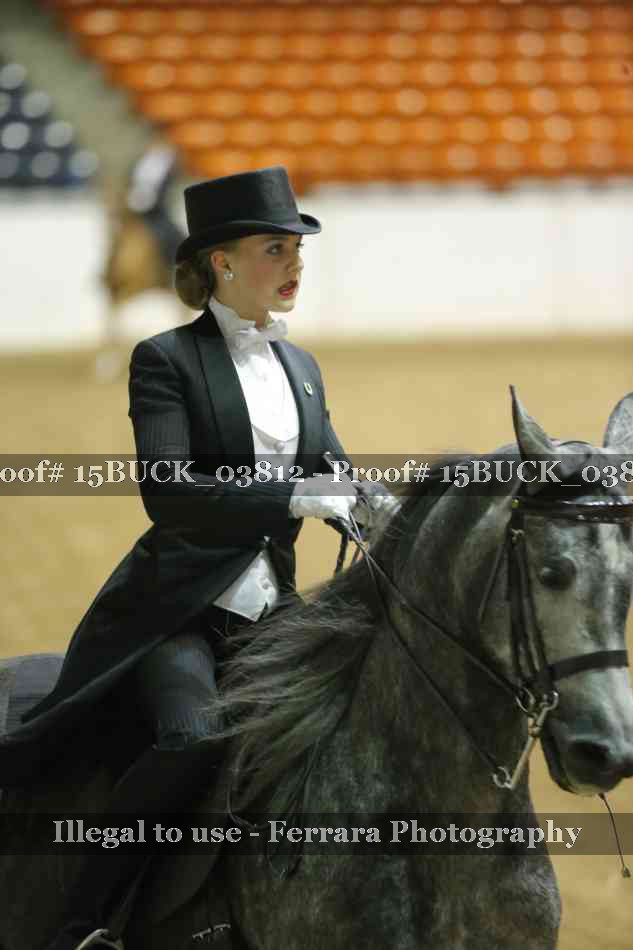 Proof 15BUCK_03812