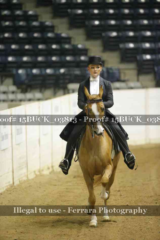 Proof 15BUCK_03813