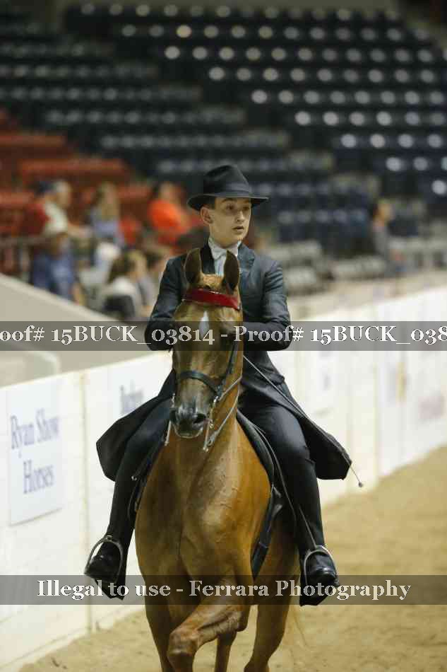 Proof 15BUCK_03814