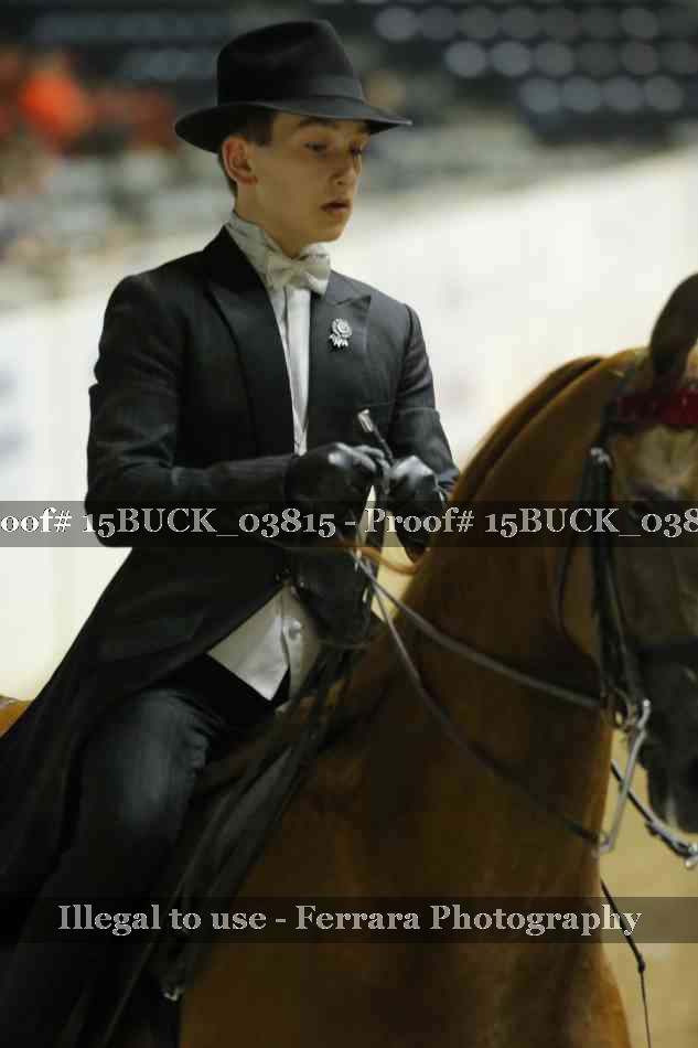 Proof 15BUCK_03815