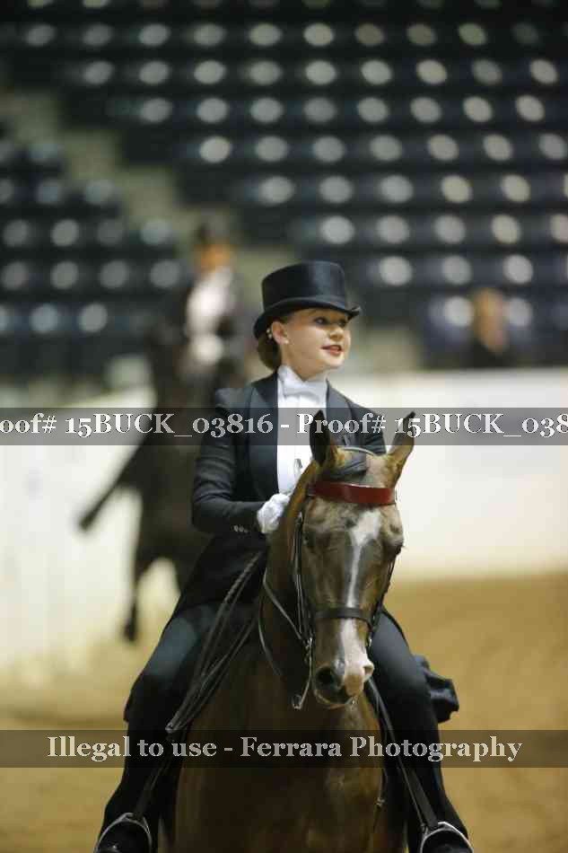 Proof 15BUCK_03816